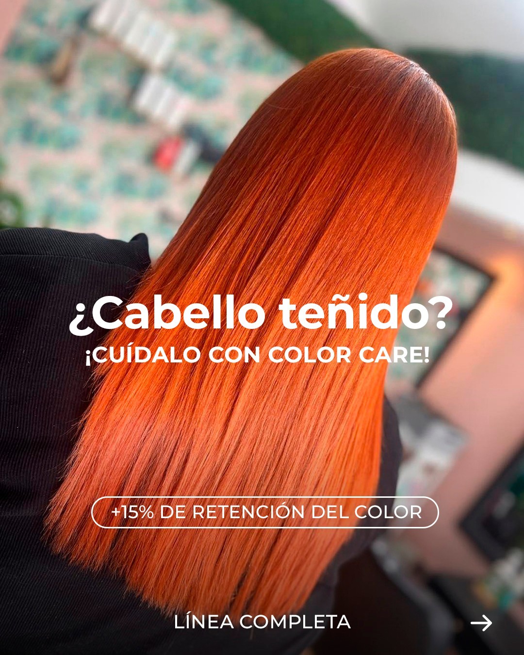 Productos profesionales Kelly Suply Express